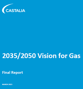 2035-2050 vision for gas report image