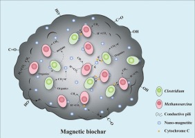 magnetic biochar